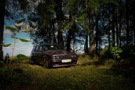 BMW E30 в лесу