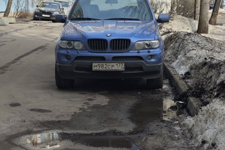 Черные ноздри