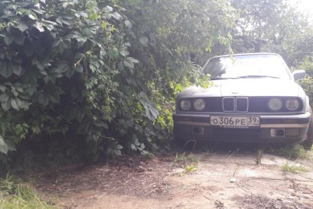 BMW E30