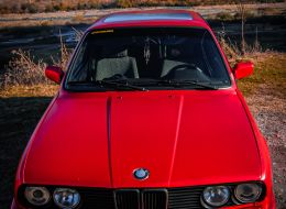IMG_9437.jpeg